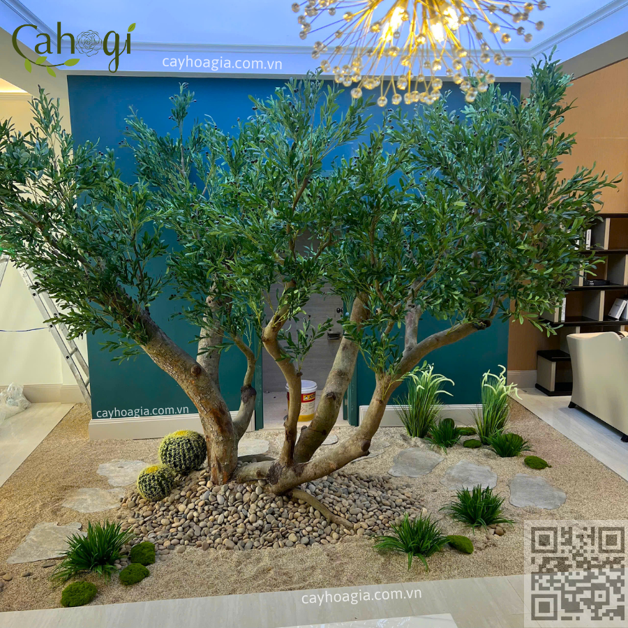 Thi Công Cây Oliu Giả Cao 3m Tán 5m 1