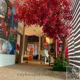 Thi Công Cây Phong Lá Đỏ Đổi Mẫu Theo Mùa Và Hộc Cây Phòng Tắm