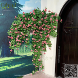 Trang Trí Phòng Chụp Ảnh VIN WONDER Đảo Vũ Yên Hải Phòng