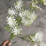 Hoa Giả - Hoa Ren Trắng 5 Nhánh 80 Cm