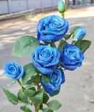 Hoa Giả-Hoa Hồng 4Bông 3 Nụ 70Cm Xanh Dương