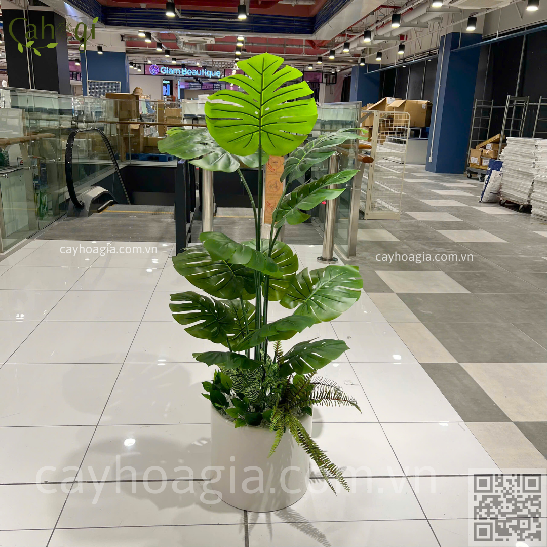 Chậu Cây Cảnh Giả Trang Trí 2