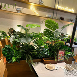 Thi Công Hộc Cây Giả – Decor Nhà Hàng Thai Market Vincom Mega Mall Smart City