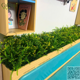 Thi Công Hộc Cây Giả Cho Trường Mầm Non Họa Mi – 545 Bát Khối, Long Biên, Hà Nội