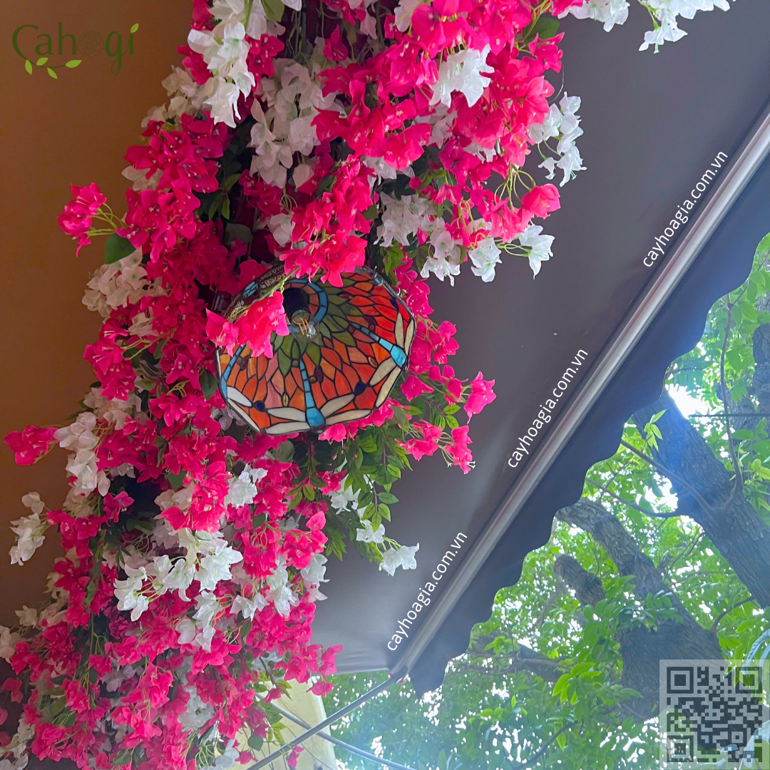 Thi Công Hộc Cây Hoa Giấy Trang Trí quán cafe Coffee House 3