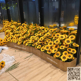 THI CÔNG BỒN CÂY HOA HƯỚNG DƯƠNG NHÀ GƯƠNG HÀ ĐÔNG