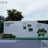 Thi Công Cho Thuê Và Trang Trí Hoa Giả Sự Kiện Forestia Park Hưng Yên