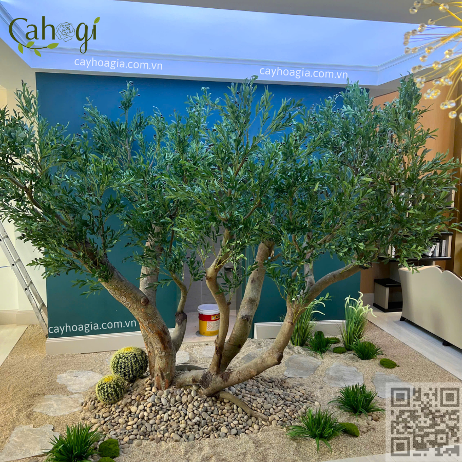 Thi Công Cây Oliu Giả Cao 3m Tán 5m 2