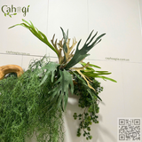 Thi Công Decor Văn Phòng BĐS Ở 48 Lê Văn Lương