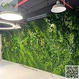 Thi Công Tường Cây Giả Cho Văn Phòng Kiến Trúc Mỹ Kim