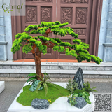 Thi Công Cây Tùng Giả Bonsai Giả Xuất Khẩu Na- Uy