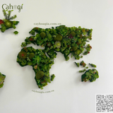 Thi Công Tường Rêu Bản Đồ Thế Giới Tại Viettel văn phòng Lạng Sơn