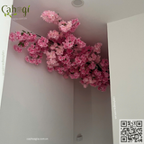 Gói Thi Công Tiểu Cảnh Phong Cách Tối Giản Dưới Góc Hẹp Cầu Thang Và Trần Hoa Đào