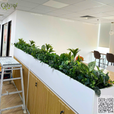 Thi Công Học Cây Giả Văn Phòng Cho Tòa Nhà Rox Tower Goldmark City Hồ Tùng Mậu