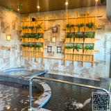 Thi Công Cây Phong Lá Đỏ Đổi Mẫu Theo Mùa Và Hộc Cây Phòng Tắm