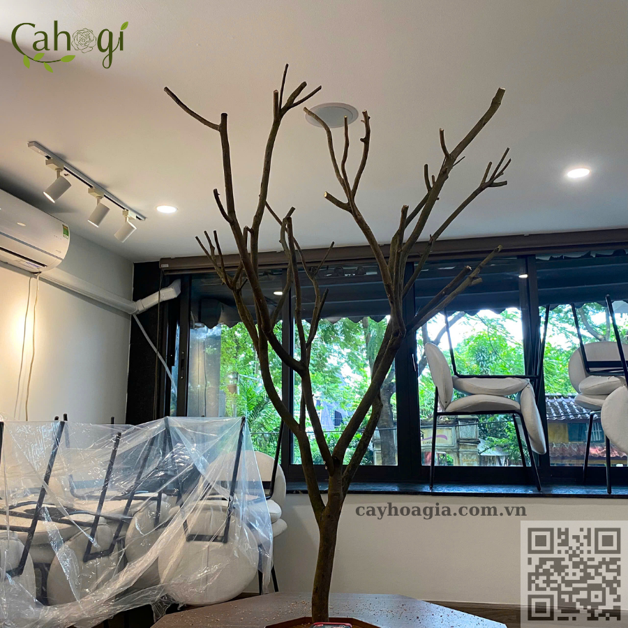 Thi Công Trang Trí Cây Hoa Giả Cho Quán Cafe 2