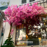 Thi Công Cây Hoa Đào Giả Cho Nhà Hàng Tôm Hùm