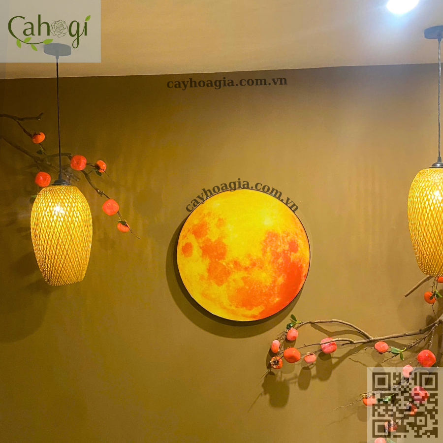 Thi Công Trang Trí Spa Dưỡng Sinh 2