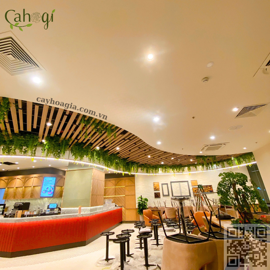 Thi Công Trần Cây Leo Giả Trang Trí Quán Cafe 2