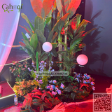 Thi Công Trang Trí Sự Kiện Mở Bán Vinhomes Đan Phượng