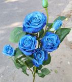 Hoa Giả-Hoa Hồng 4Bông 3 Nụ 70Cm Xanh Dương