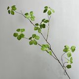 Cành Thạch Nam Giả Cành Thân Thép Pu Mềm 85 Cm