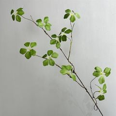 Cây Giả Cây Môn Xanh Gân Trắng 12 Lá -63 Cm