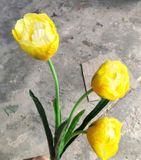 Hoa Giả - Hoa TuLip 3 Bông Kép Nhiều Màu
