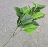 Cây Giả-Cành Lá Cẩm Tú Cầu 2 Ngọn 65 Cm