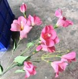 Hoa Giả - Hoa Lay Ơn 80Cm Màu Hồng