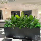 Thi Công Hộc Cây Giả Trang Trí Khách Sạn Lớn Nhất Thành Phố Yên Bái – Giải Pháp Xanh Sang Trọng