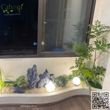 Gói Thi Công Tiểu Cảnh Bồn Cây Trang Trí Nhà Tại Phúc Tân Hoàn Kiếm