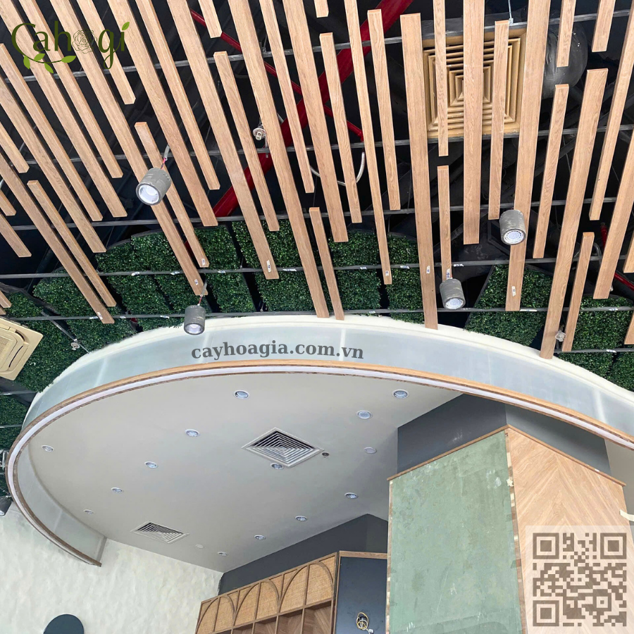 Thi Công Trần Cây Leo Giả Trang Trí Quán Cafe 3