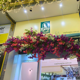 Thi Công Cây Hoa Giấy Giả Trang Trí Katty Cafe – Tố Hữu, Hà Đông