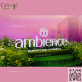 Setup Cây Hoa Tại Sự Kiện Mở Bán Bất Đọng Sản Ambience Hải Phòng