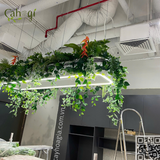 Trang Trí Đèn Treo Văn Phòng Với Cây Giả 69B Thụy Khuê - Tây Hồ