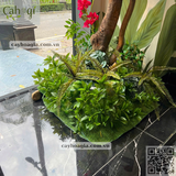 Thi Công Hoa Giấy Bồn Cây Trang Trí Khách Sạn