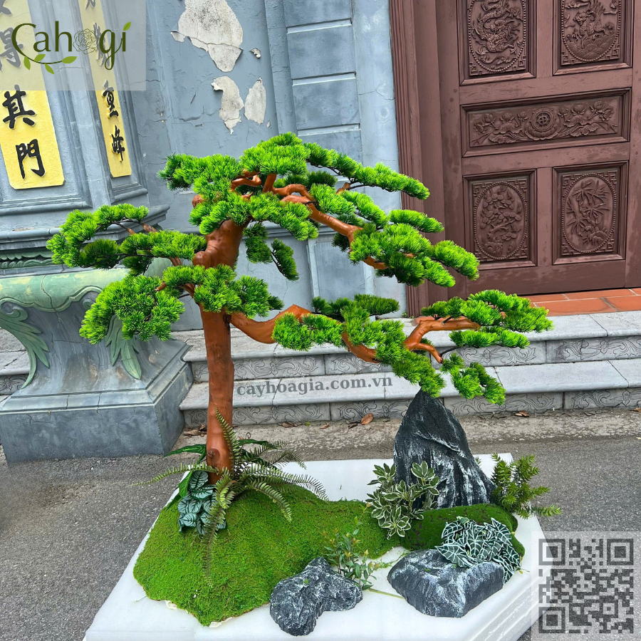 cây tùng giả bonsai