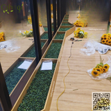 THI CÔNG BỒN CÂY HOA HƯỚNG DƯƠNG NHÀ GƯƠNG HÀ ĐÔNG