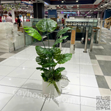 Hoàn Thiện Chậu Cây Cảnh Trang Trí Siêu Thị AEON Hưng Yên – Giải Pháp Xanh Hiện Đại