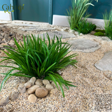 Thi Công Cây Oliu Giả Cao 3m Tán 5m – Biệt Thự Vinhomes Vũ Yên Hải Phòng