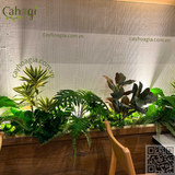 Thi Công Hộc Cây Giả – Decor Nhà Hàng Thai Market Vincom Mega Mall Smart City