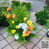 Cho thuê Thi Công Trang Trí Sự Kiện Mở Bán Vinhomes Vũ Yên Hải Phòng