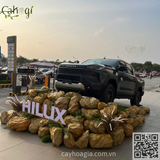 Thi Công Tiểu Cảnh Đá Xốp Giả Trưng Bày Xe Hilux TOYOTA LONG BIÊN