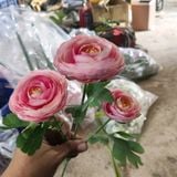 Hoa Giả-Hoa Trà 3 Bông 70cm