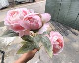 Hoa Giả-Hoa Mẫu Đơn 2 Bông 1 Nụ 70 Cm Hồng Nhạt