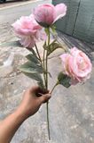 Hoa Giả-Hoa Mẫu Đơn 2 Bông 1 Nụ 70 Cm Hồng Nhạt