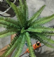 Cây Giả-Cây Nho Giả 5 Nhánh 45Cm