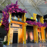 Thi Công Cây Hoa Giấy Trang Trí Gian Hàng Hội An – Trung Tâm Triển Lãm Quốc Gia Việt Nam