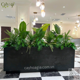 Thi Công Hộc Cây Giả Trang Trí Khách Sạn Lớn Nhất Thành Phố Yên Bái – Giải Pháp Xanh Sang Trọng